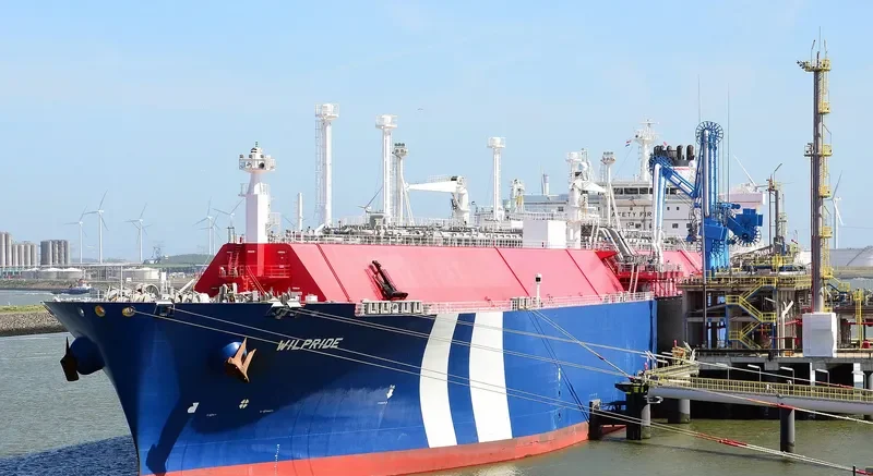 WILPRIDE General Cargo IMO 9627966 photo 4