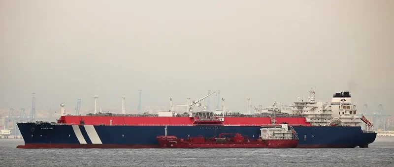 WILPRIDE General Cargo IMO 9627966 photo 5