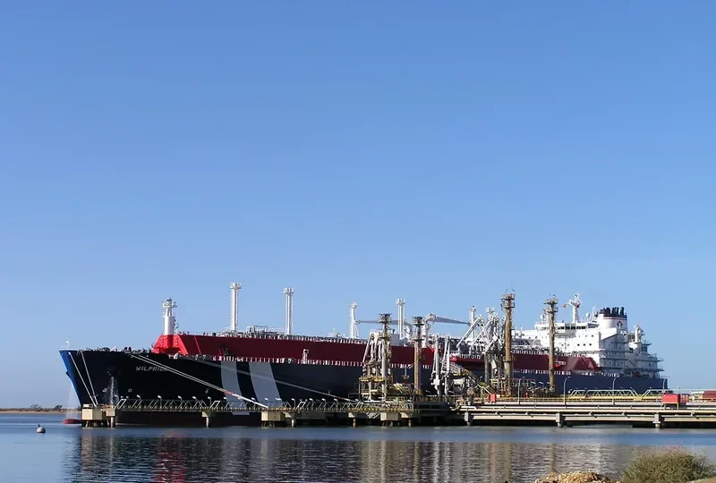 WILPRIDE General Cargo IMO 9627966 photo 10