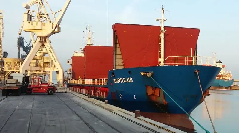 KURTULUS General Cargo IMO 9628013 photo 8