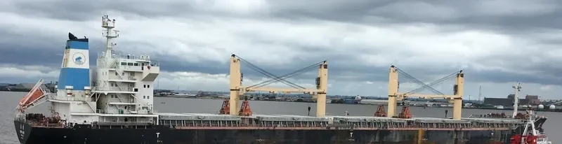 XIN CHUN XIAO Bulk Carrier IMO 9628037