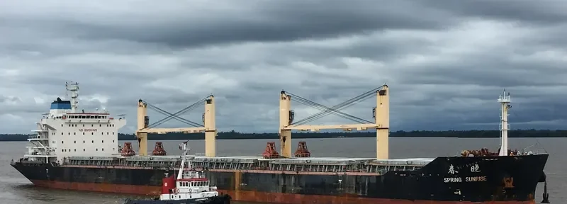 XIN CHUN XIAO Bulk Carrier IMO 9628037 photo 2
