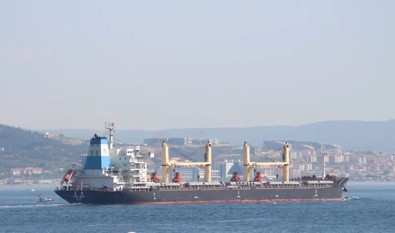 XIN CHUN XIAO Bulk Carrier IMO 9628037 photo 3