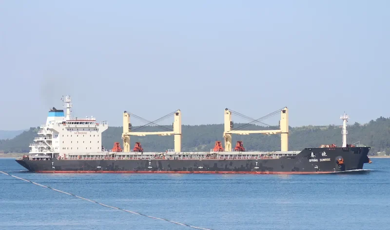 XIN CHUN XIAO Bulk Carrier IMO 9628037 photo 4