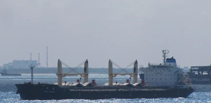 XIN CHUN XIAO Bulk Carrier IMO 9628037 photo 5
