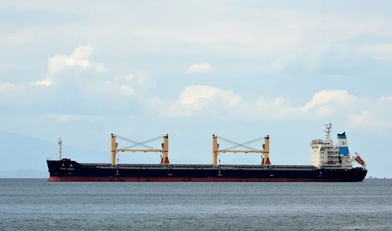 XIN CHUN XIAO Bulk Carrier IMO 9628037 photo 6