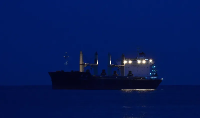 XIN CHUN XIAO Bulk Carrier IMO 9628037 photo 7
