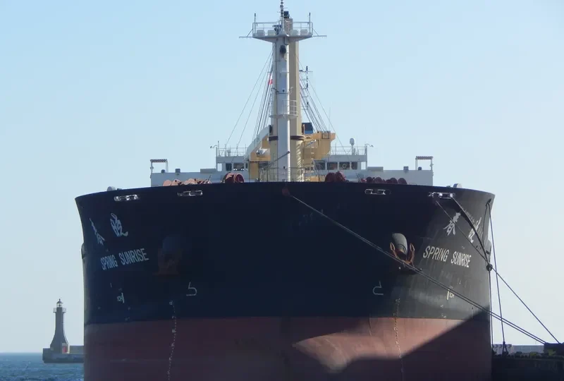XIN CHUN XIAO Bulk Carrier IMO 9628037 photo 8