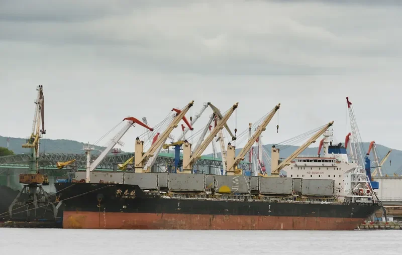 XIN CHUN XIAO Bulk Carrier IMO 9628037 photo 10