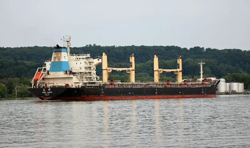 SPRING SUNSHINE Bulk Carrier IMO 9628049