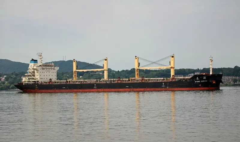 SPRING SUNSHINE Bulk Carrier IMO 9628049 photo 2