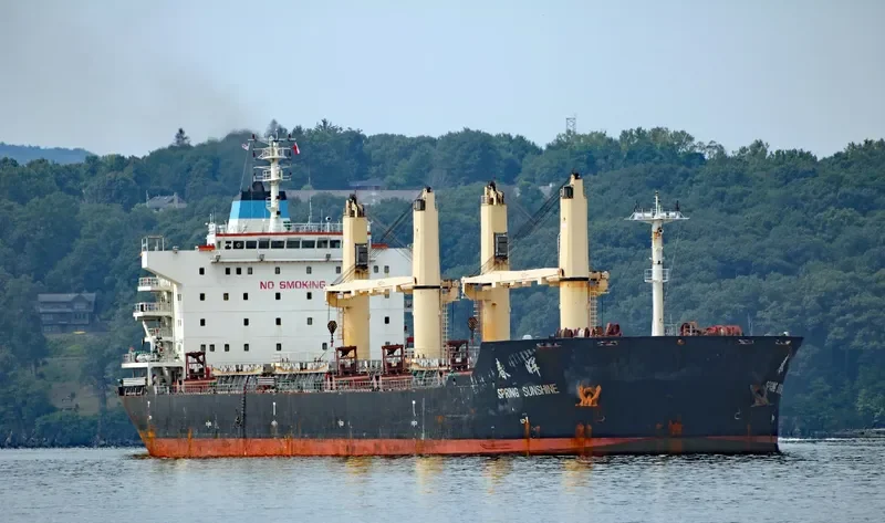 SPRING SUNSHINE Bulk Carrier IMO 9628049 photo 3