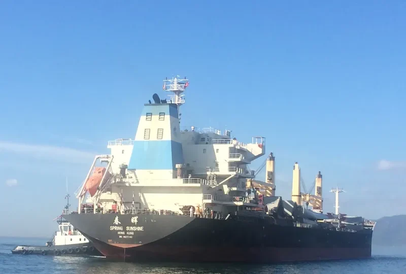 SPRING SUNSHINE Bulk Carrier IMO 9628049 photo 4
