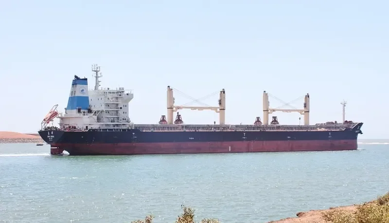 SPRING SUNSHINE Bulk Carrier IMO 9628049 photo 5