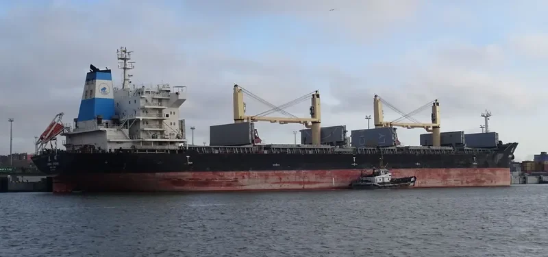 SPRING SUNSHINE Bulk Carrier IMO 9628049 photo 6