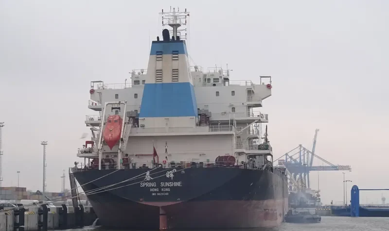 SPRING SUNSHINE Bulk Carrier IMO 9628049 photo 7