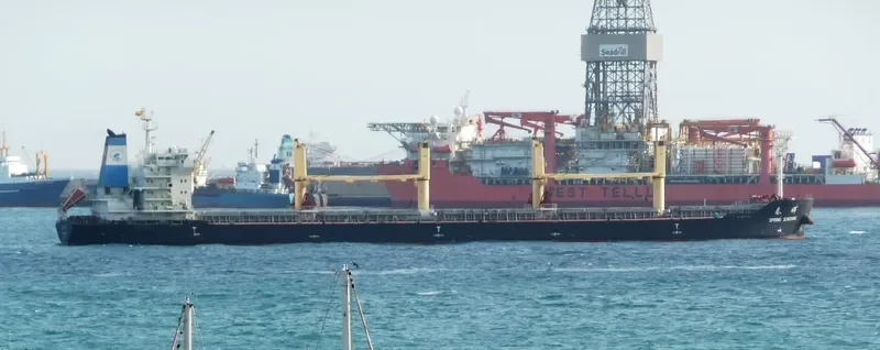 SPRING SUNSHINE Bulk Carrier IMO 9628049 photo 8