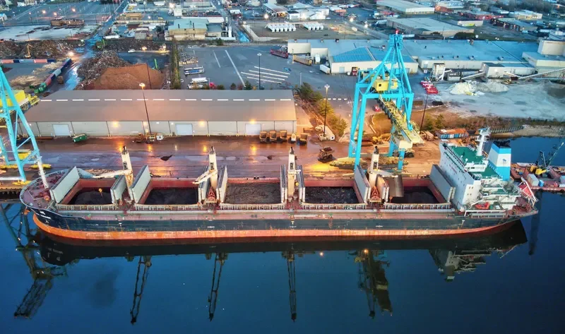 SPRING SUNSHINE Bulk Carrier IMO 9628049 photo 9