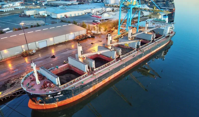 SPRING SUNSHINE Bulk Carrier IMO 9628049 photo 10