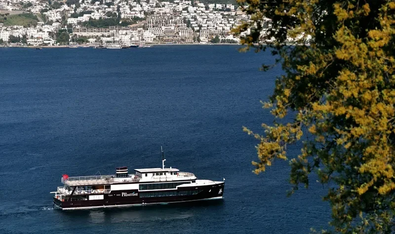 PRIME TIME Passenger Ship IMO 9628075 photo 7