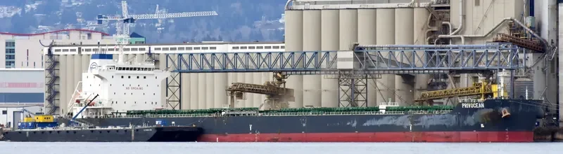 ZEA Bulk Carrier IMO 9628087 photo 3