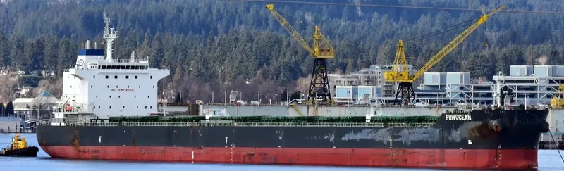 ZEA Bulk Carrier IMO 9628087 photo 4