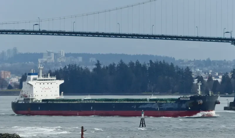 ZEA Bulk Carrier IMO 9628087 photo 5