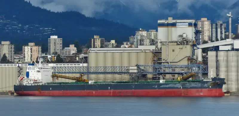 ZEA Bulk Carrier IMO 9628087 photo 6