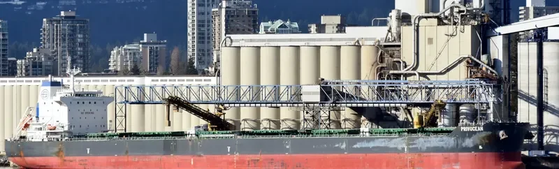 ZEA Bulk Carrier IMO 9628087 photo 7
