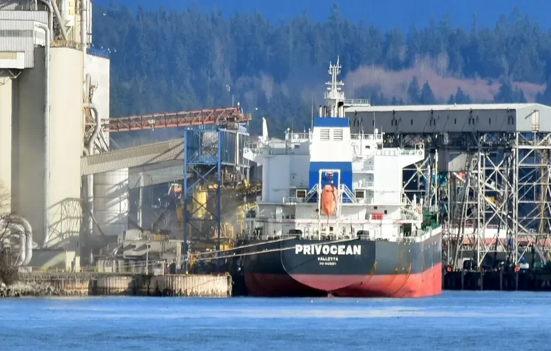 ZEA Bulk Carrier IMO 9628087 photo 8