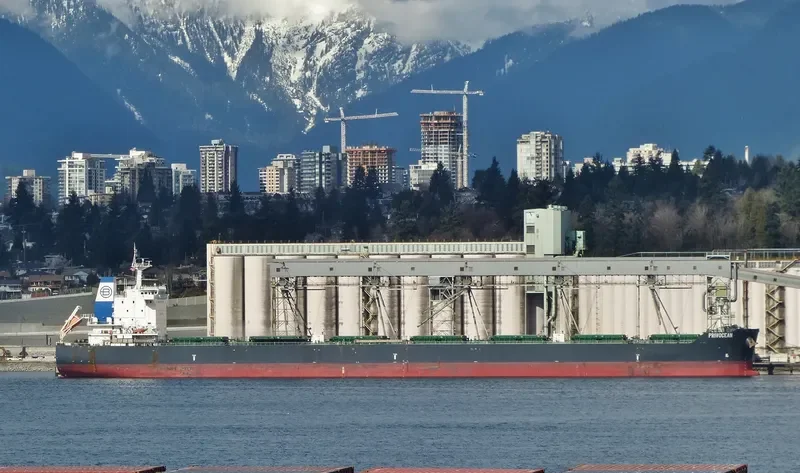 ZEA Bulk Carrier IMO 9628087 photo 9