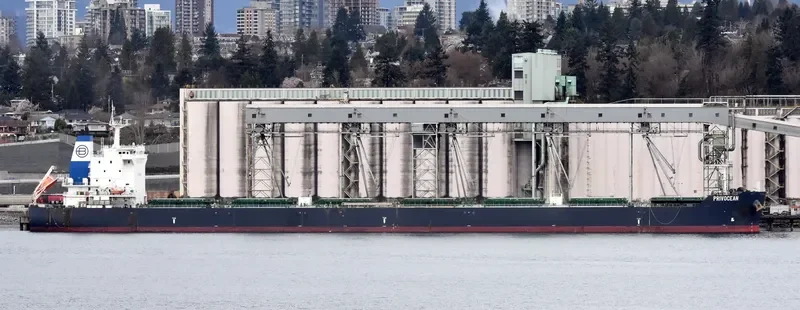 ZEA Bulk Carrier IMO 9628087 photo 10