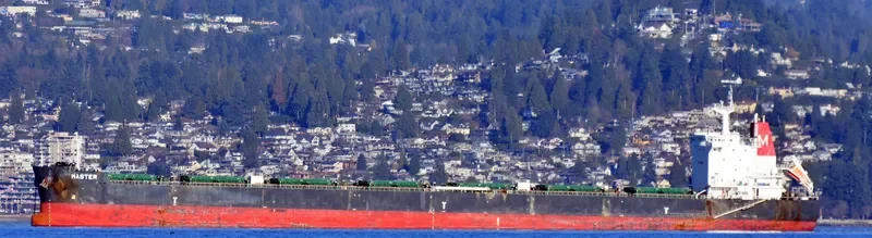 MASTER Bulk Carrier IMO 9628099