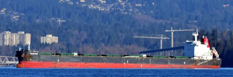 MASTER Bulk Carrier IMO 9628099 photo 2