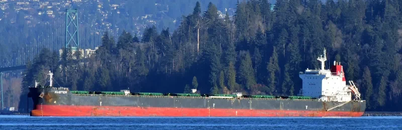 MASTER Bulk Carrier IMO 9628099 photo 3