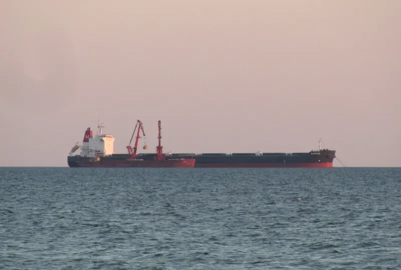 MASTER Bulk Carrier IMO 9628099 photo 4