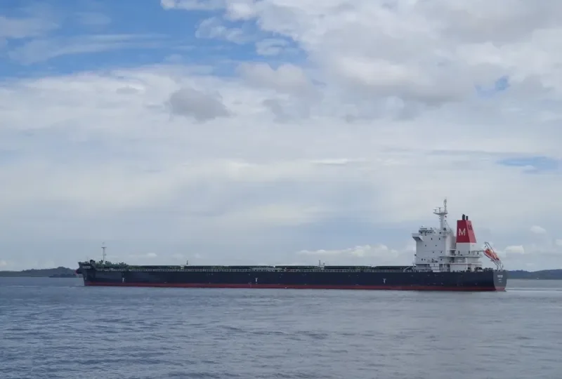 MASTER Bulk Carrier IMO 9628099 photo 5
