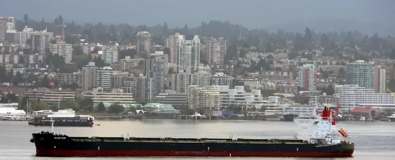 MASTER Bulk Carrier IMO 9628099 photo 7