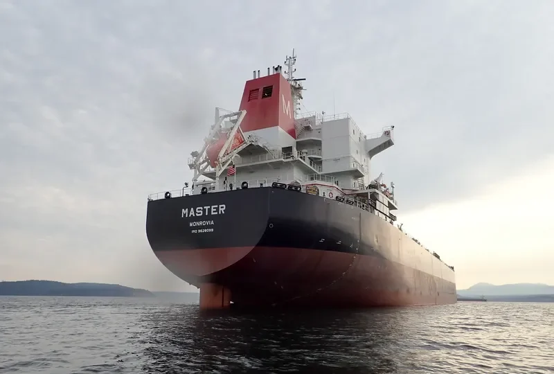 MASTER Bulk Carrier IMO 9628099 photo 10