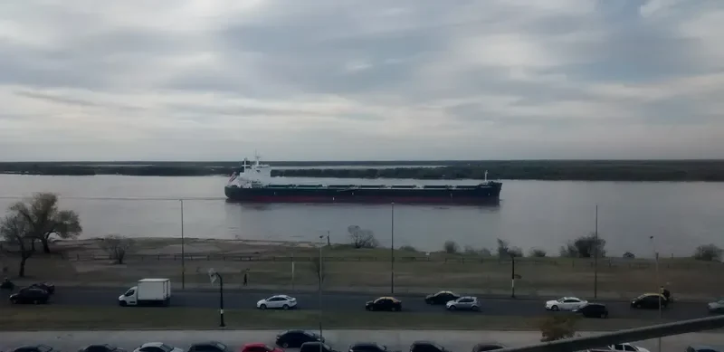 PANOREA Bulk Carrier IMO 9628104