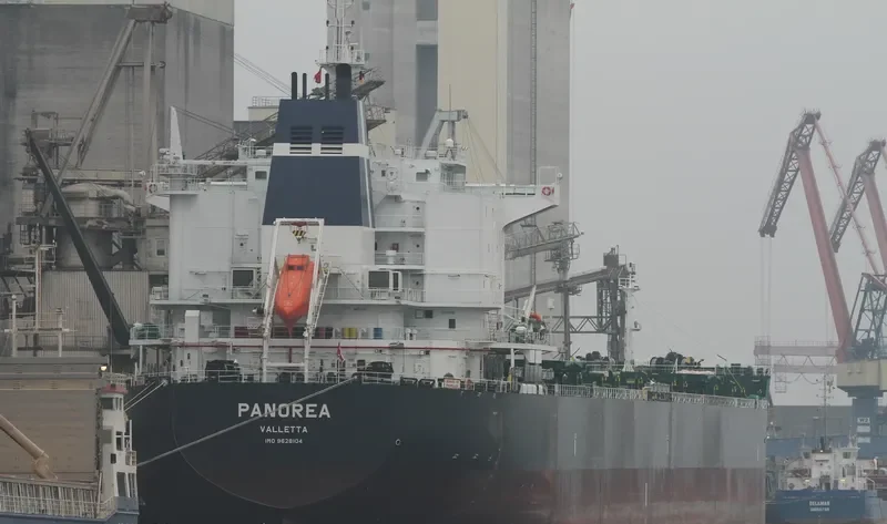 PANOREA Bulk Carrier IMO 9628104 photo 3