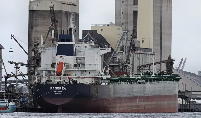 PANOREA Bulk Carrier IMO 9628104 photo 4