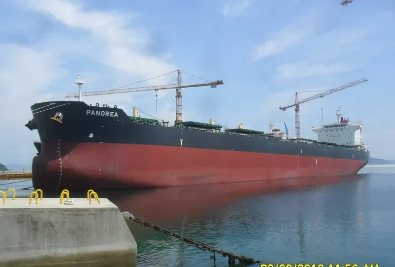PANOREA Bulk Carrier IMO 9628104 photo 6