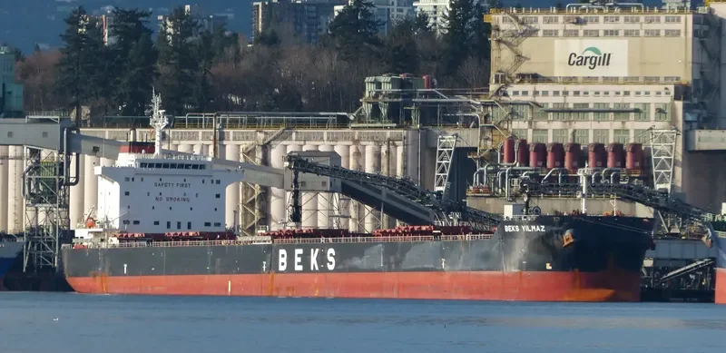 BEKS YILMAZ Bulk Carrier IMO 9628116 photo 3