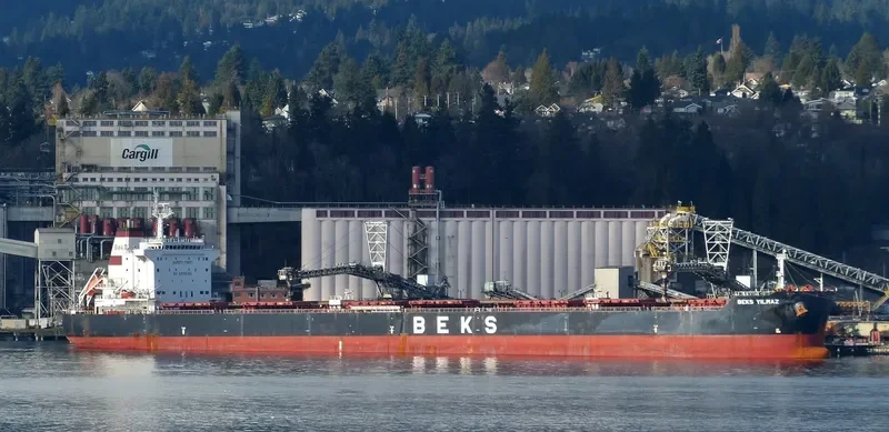 BEKS YILMAZ Bulk Carrier IMO 9628116 photo 4