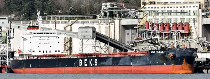BEKS YILMAZ Bulk Carrier IMO 9628116 photo 6