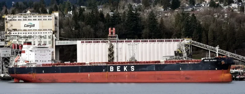 BEKS YILMAZ Bulk Carrier IMO 9628116 photo 7