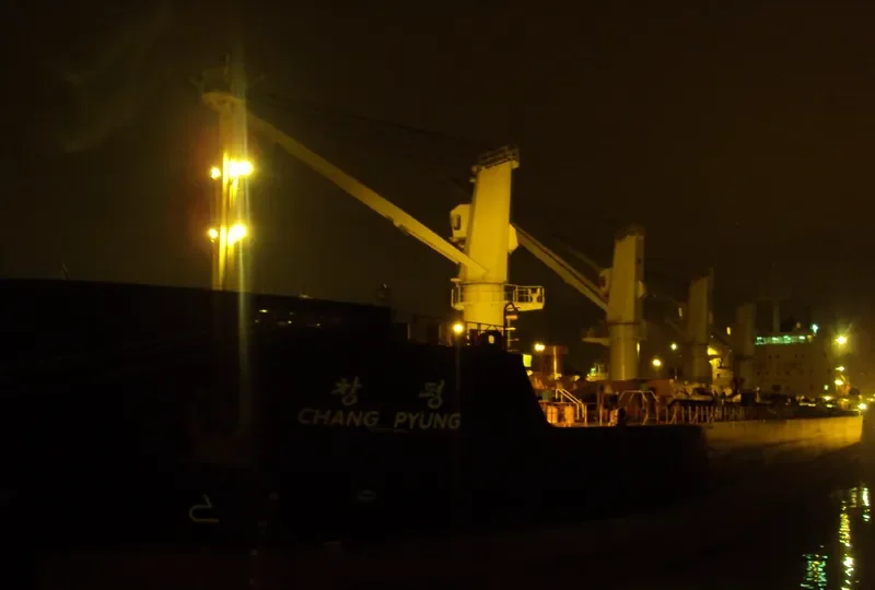 CHANG HANG HAO HAI Bulk Carrier IMO 9628219 photo 3