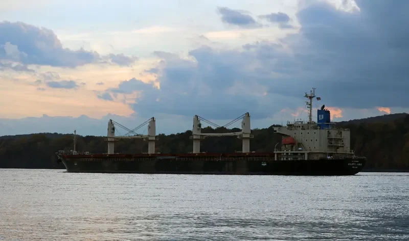 STELLAR ENGURI Bulk Carrier IMO 9628257