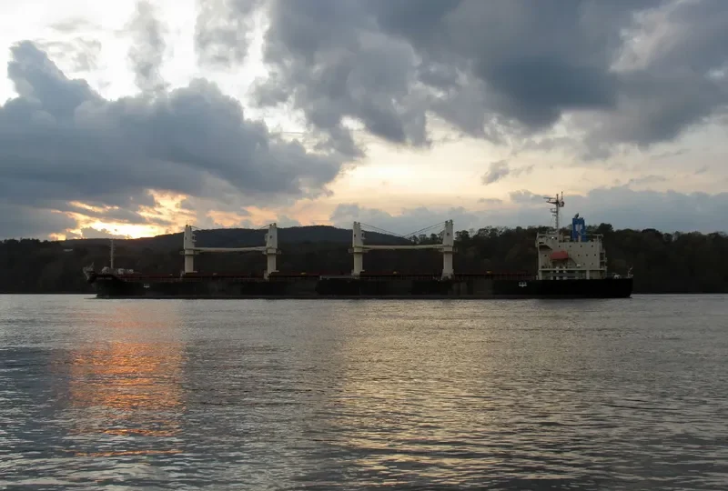 STELLAR ENGURI Bulk Carrier IMO 9628257 photo 2